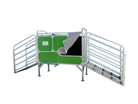 Sheep Scan Crate 2